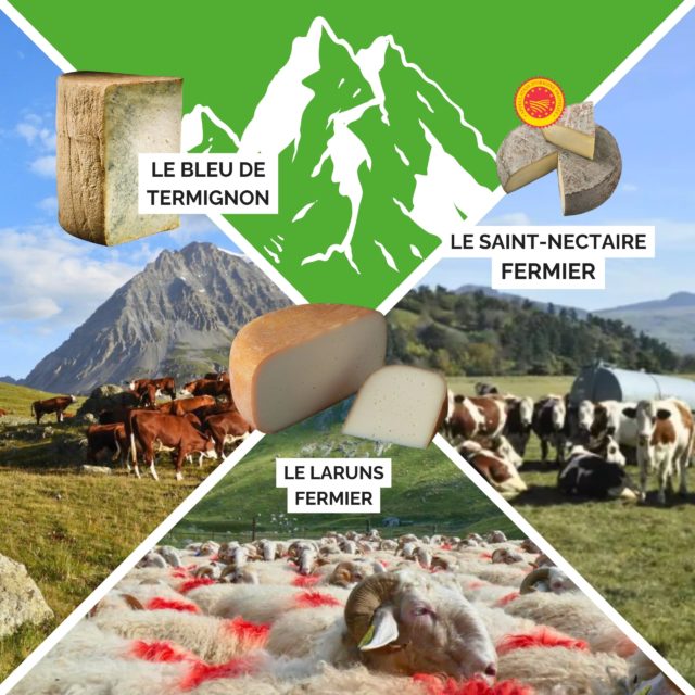 Les Fromages d’Août : trois massifs, trois terroirs