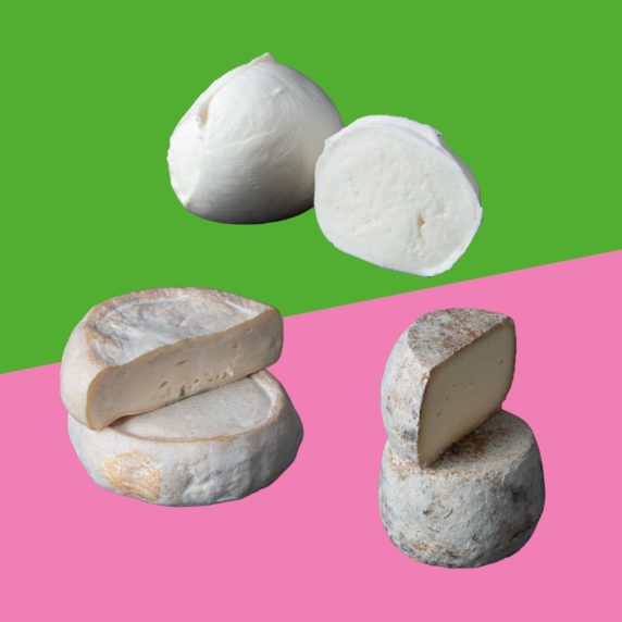 fromages-de-juillet-alain-michel